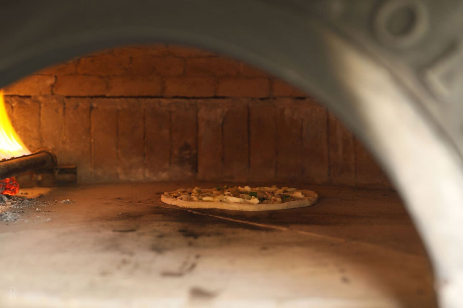 フォトギャラリー