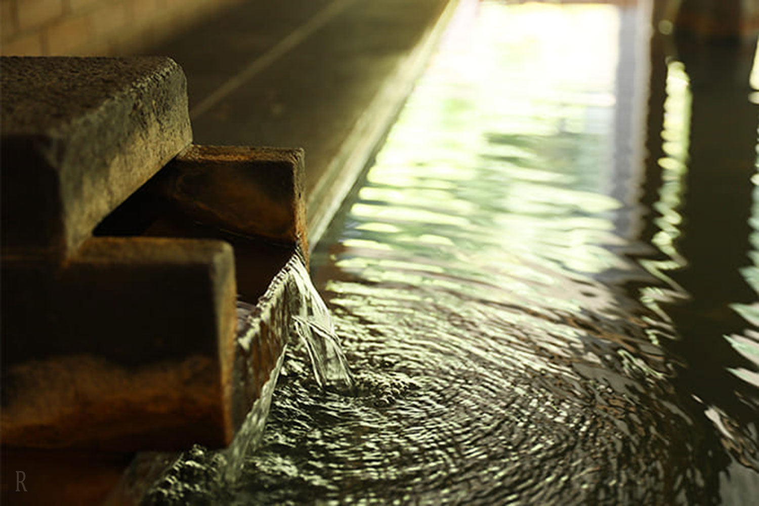 フォトギャラリー