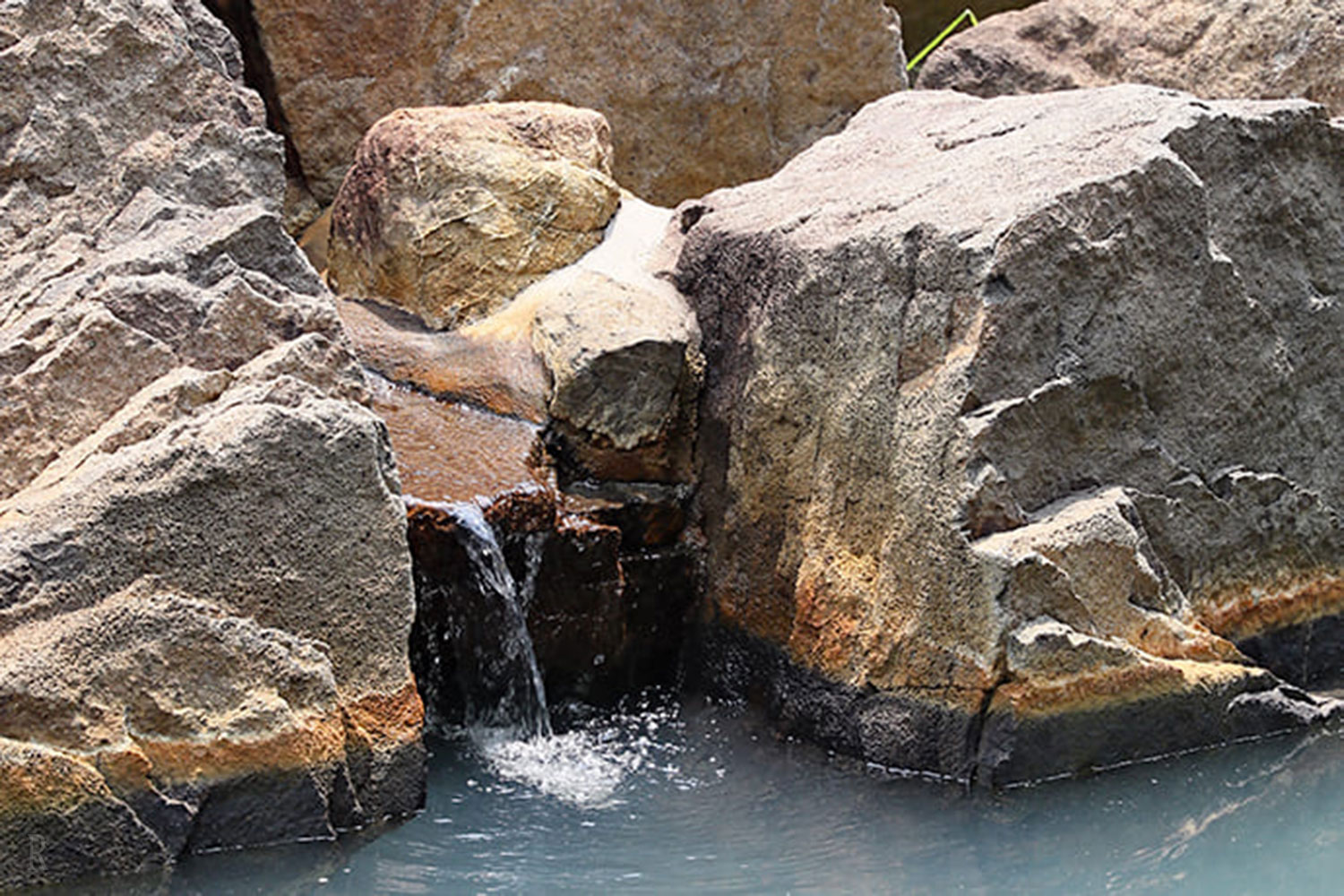 フォトギャラリー